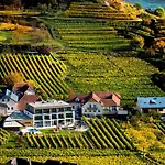 Homestay Boutiquehotel Weinspitz & Weingut Strawanzer Donabaum Spitz an der Donau