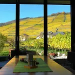 Homestay Boutiquehotel Weinspitz & Weingut Strawanzer Donabaum Spitz an der Donau