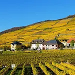 Boutiquehotel Weinspitz & Weingut Strawanzer Donabaum