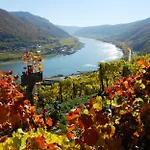 Boutiquehotel Weinspitz & Weingut Strawanzer Donabaum Δωμάτια σε οικογενειακή κατοικία