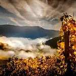 Boutiquehotel Weinspitz & Weingut Strawanzer Donabaum Δωμάτια σε οικογενειακή κατοικία