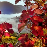 Boutiquehotel Weinspitz & Weingut Strawanzer Donabaum Δωμάτια σε οικογενειακή κατοικία *