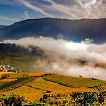 Boutiquehotel Weinspitz & Weingut Strawanzer Donabaum Homestay *