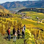 Boutiquehotel Weinspitz & Weingut Strawanzer Donabaum *