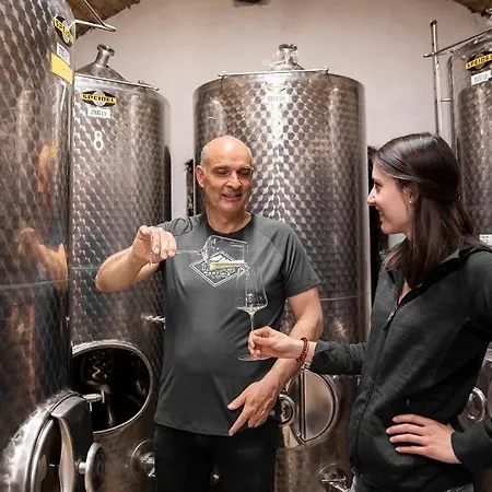 Boutiquehotel Weinspitz & Weingut Strawanzer Donabaum *
