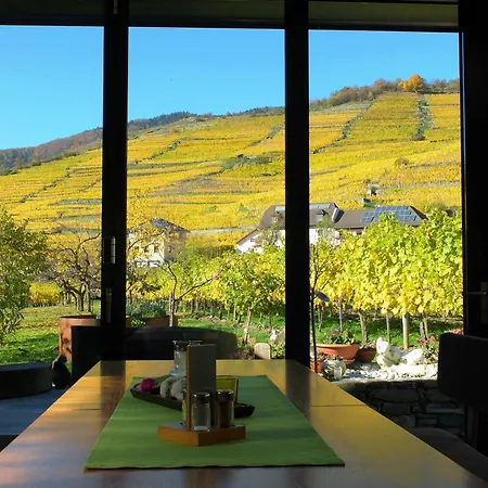 Homestay Boutiquehotel Weinspitz & Weingut Strawanzer Donabaum Spitz an der Donau