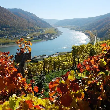 Boutiquehotel Weinspitz & Weingut Strawanzer Donabaum Privat bolig