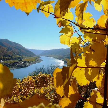 Boutiquehotel Weinspitz & Weingut Strawanzer Donabaum Privat bolig Spitz an der Donau