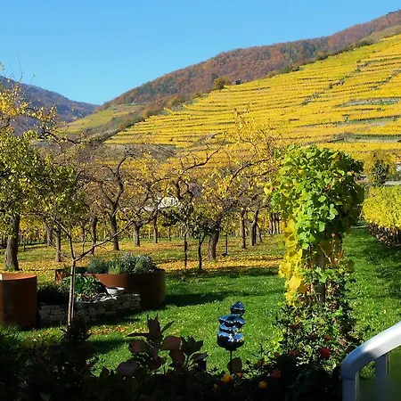 Homestay Boutiquehotel Weinspitz & Weingut Strawanzer Donabaum