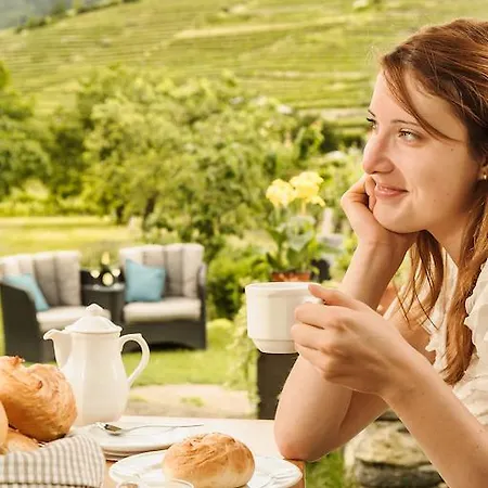 Boutiquehotel Weinspitz & Weingut Strawanzer Donabaum Homestay *