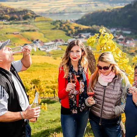 Homestay Boutiquehotel Weinspitz & Weingut Strawanzer Donabaum Spitz an der Donau