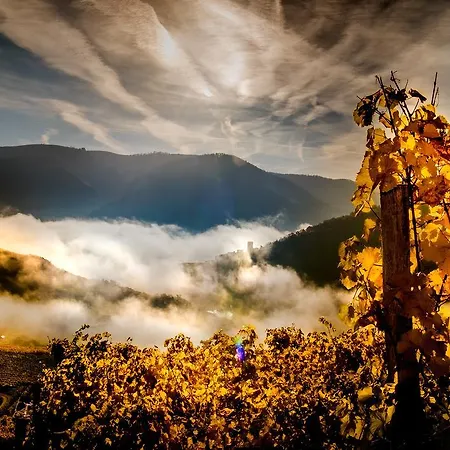 Boutiquehotel Weinspitz & Weingut Strawanzer Donabaum Homestay
