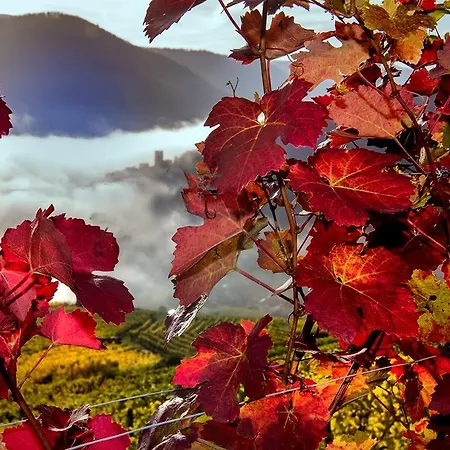 Boutiquehotel Weinspitz & Weingut Strawanzer Donabaum Privat bolig *