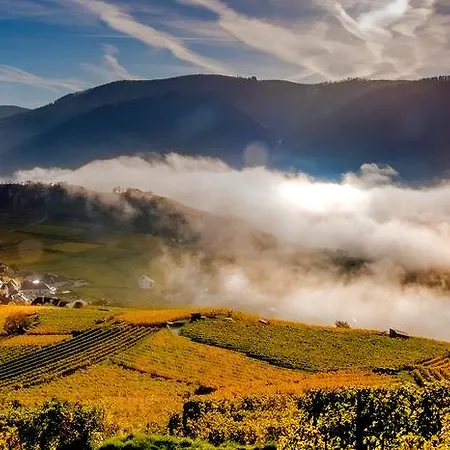 Boutiquehotel Weinspitz & Weingut Strawanzer Donabaum Homestay *