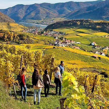 Boutiquehotel Weinspitz & Weingut Strawanzer Donabaum *