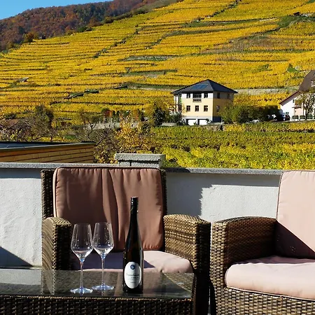 Boutiquehotel Weinspitz & Weingut Strawanzer Donabaum *