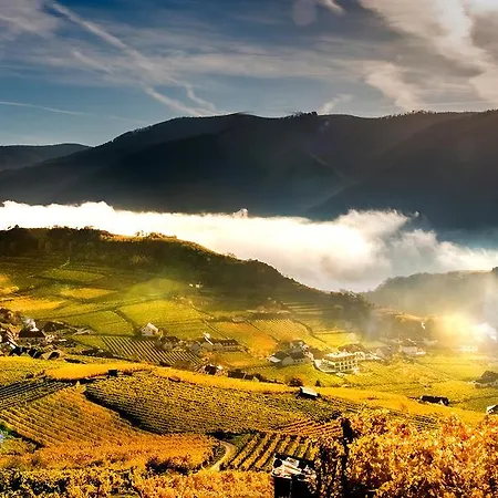 Boutiquehotel Weinspitz & Weingut Strawanzer Donabaum *