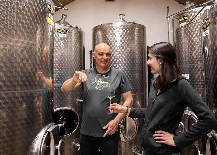 Boutiquehotel Weinspitz & Weingut Strawanzer Donabaum *