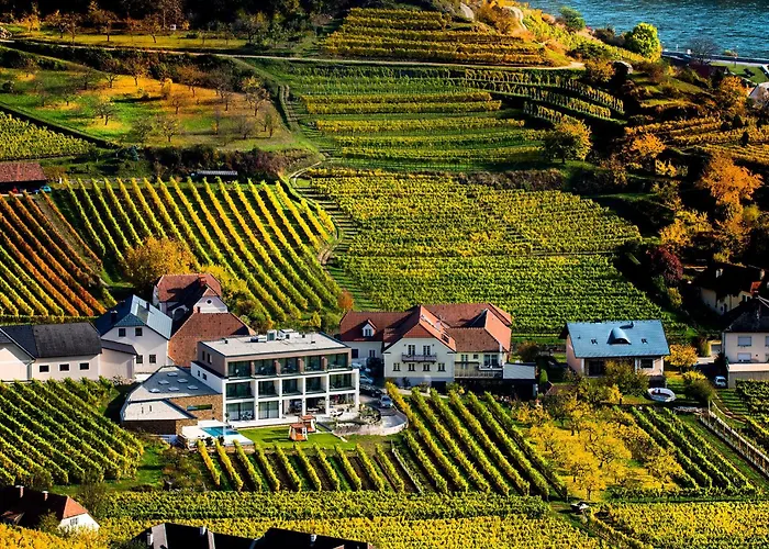 Pansiyon Boutiquehotel Weinspitz & Weingut Strawanzer Donabaum Spitz an der Donau