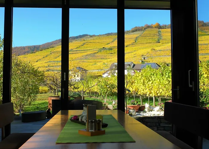 Pansiyon Boutiquehotel Weinspitz & Weingut Strawanzer Donabaum Spitz an der Donau