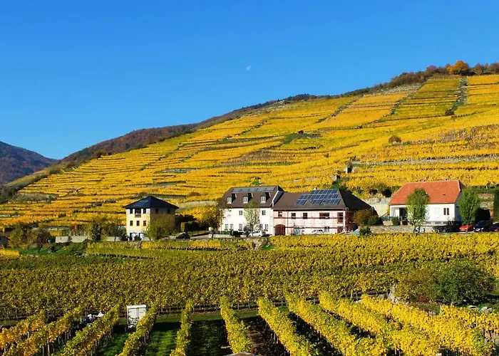 Boutiquehotel Weinspitz & Weingut Strawanzer Donabaum