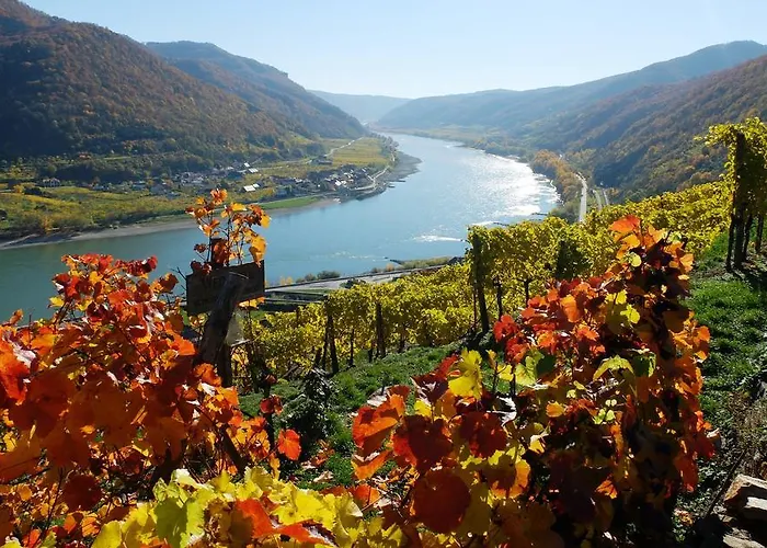 Boutiquehotel Weinspitz & Weingut Strawanzer Donabaum Accommodatie bij particulieren