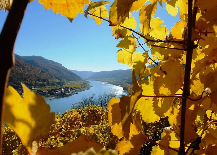 Boutiquehotel Weinspitz & Weingut Strawanzer Donabaum Accommodatie bij particulieren Spitz an der Donau