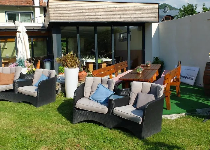 Boutiquehotel Weinspitz & Weingut Strawanzer Donabaum Pansiyon *