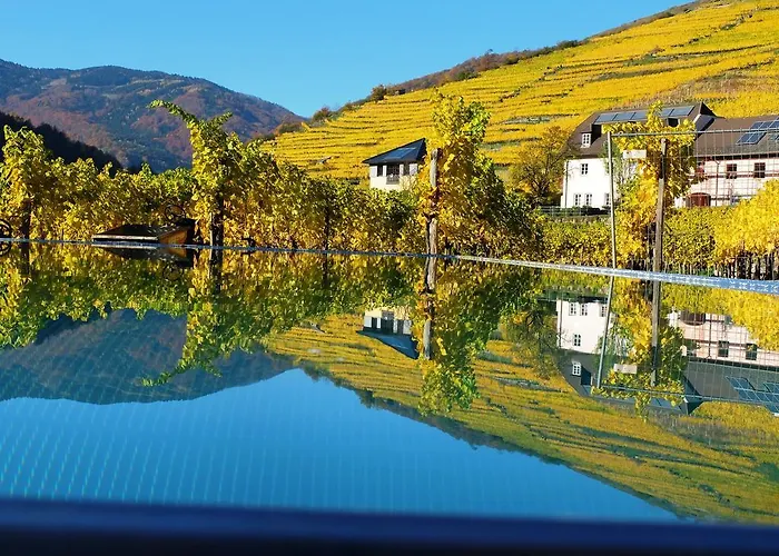 Pansiyon Boutiquehotel Weinspitz & Weingut Strawanzer Donabaum Spitz an der Donau