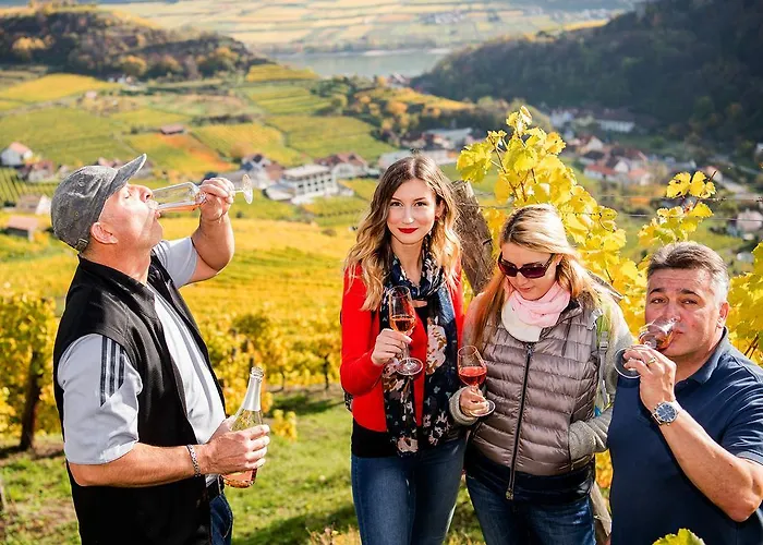 Pansiyon Boutiquehotel Weinspitz & Weingut Strawanzer Donabaum Spitz an der Donau