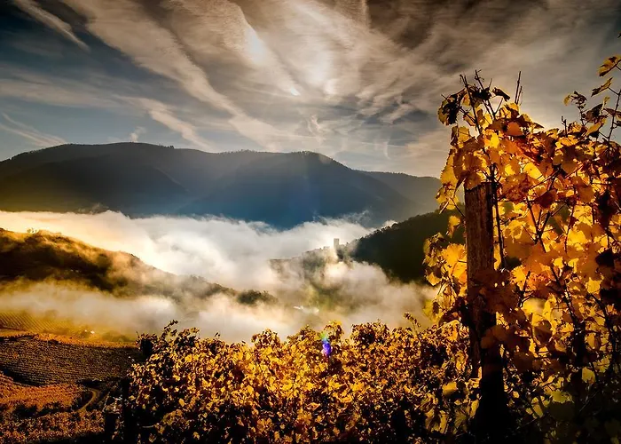 Boutiquehotel Weinspitz & Weingut Strawanzer Donabaum Accommodatie bij particulieren