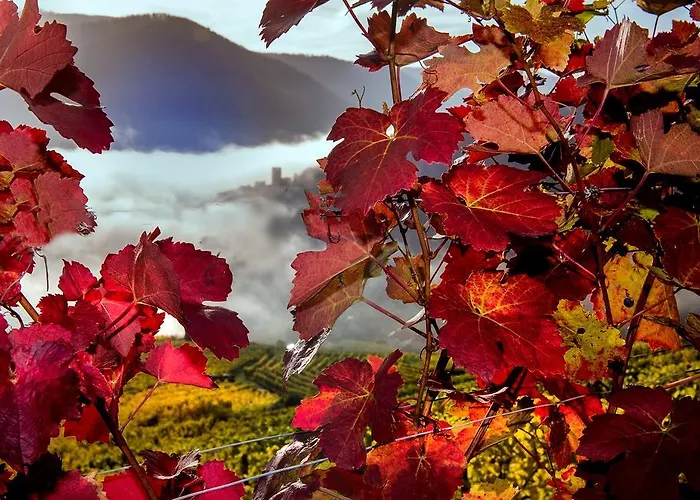 Boutiquehotel Weinspitz & Weingut Strawanzer Donabaum Pansiyon *