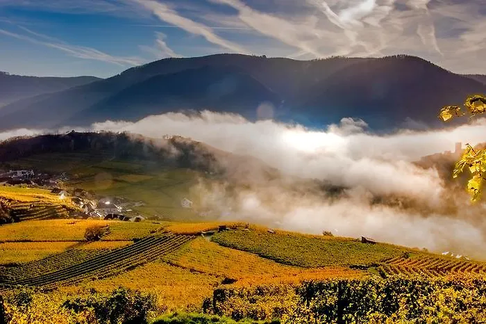 Boutiquehotel Weinspitz & Weingut Strawanzer Donabaum Accommodatie bij particulieren *