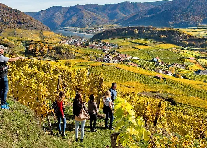 Boutiquehotel Weinspitz & Weingut Strawanzer Donabaum *