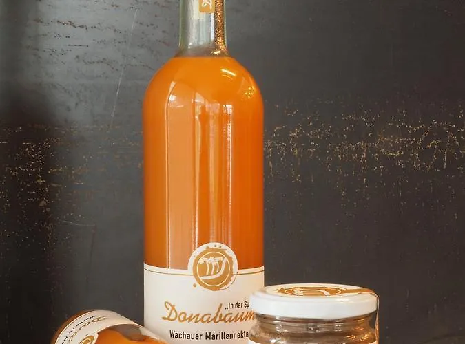 Accommodatie bij particulieren Boutiquehotel Weinspitz & Weingut Strawanzer Donabaum