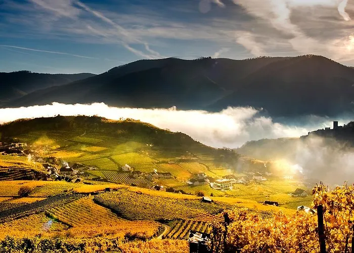 Boutiquehotel Weinspitz & Weingut Strawanzer Donabaum *